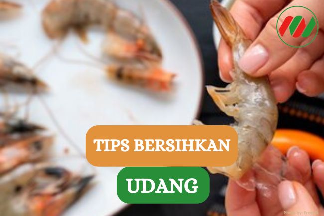 6 Tips Bersihkan Udang Agar Lezat Saat Dimasak